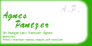 agnes pantzer business card